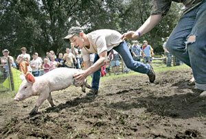 Chasing the greased pig