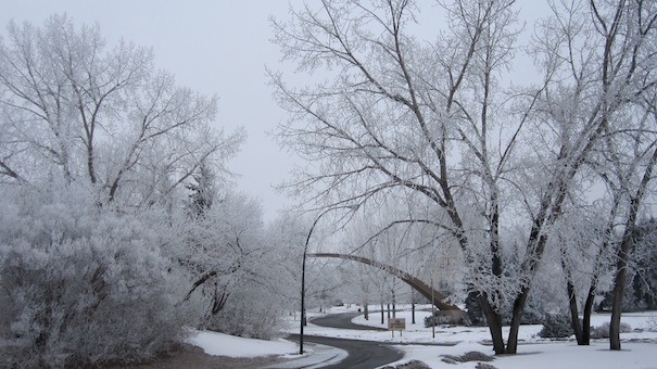 Calgary in winter
