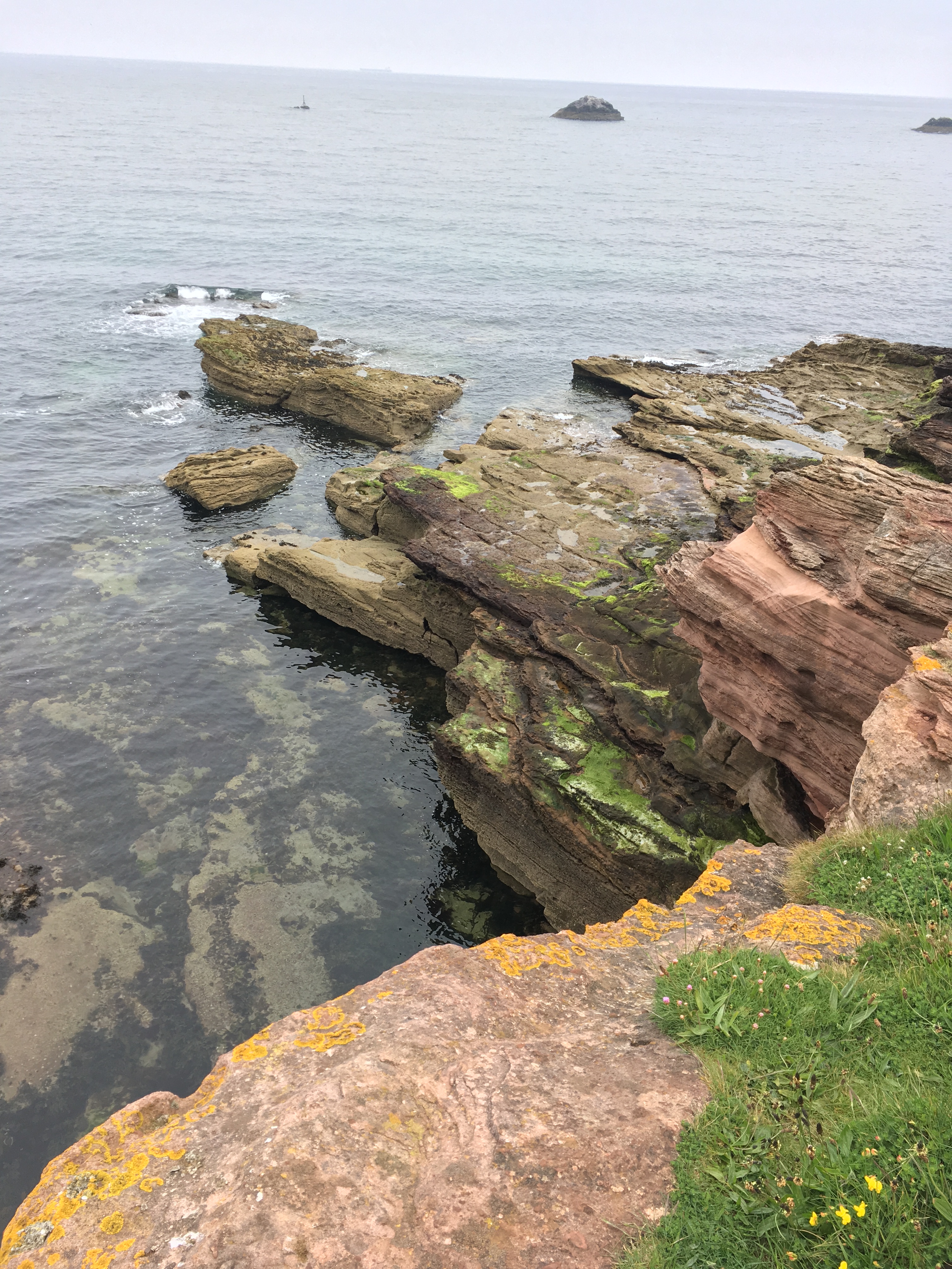 Dunbar Harbour 17.jpg