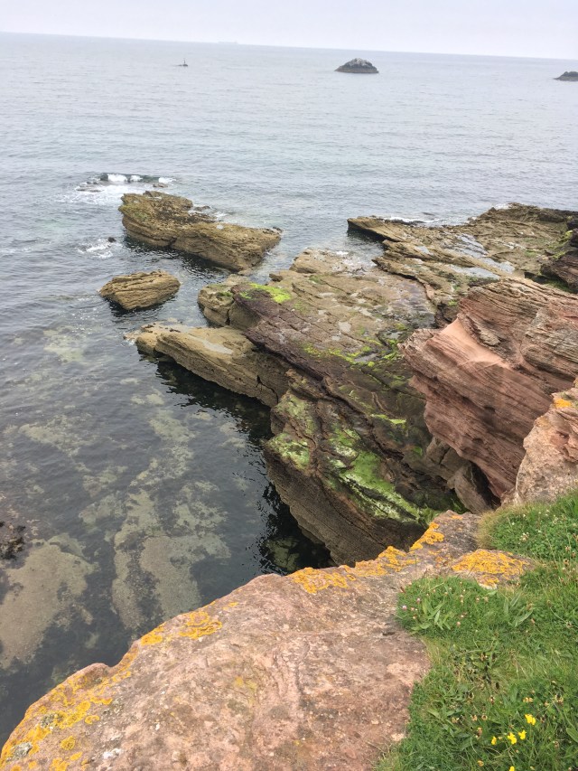 Dunbar Harbour 17.jpg