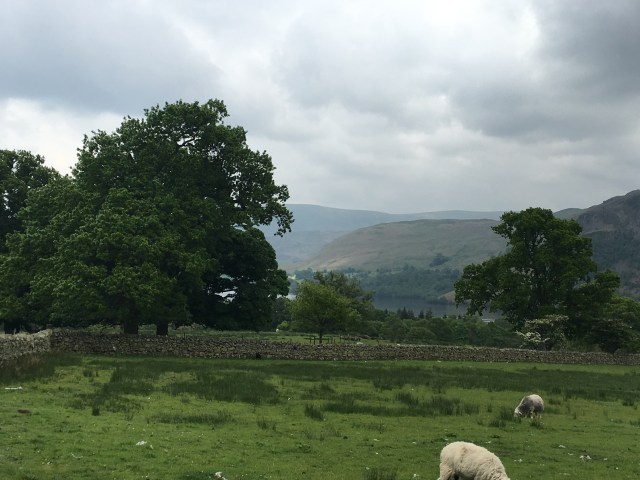 Lake District 6 copy.jpg