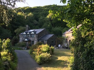 More Welsh countryside copy.jpg