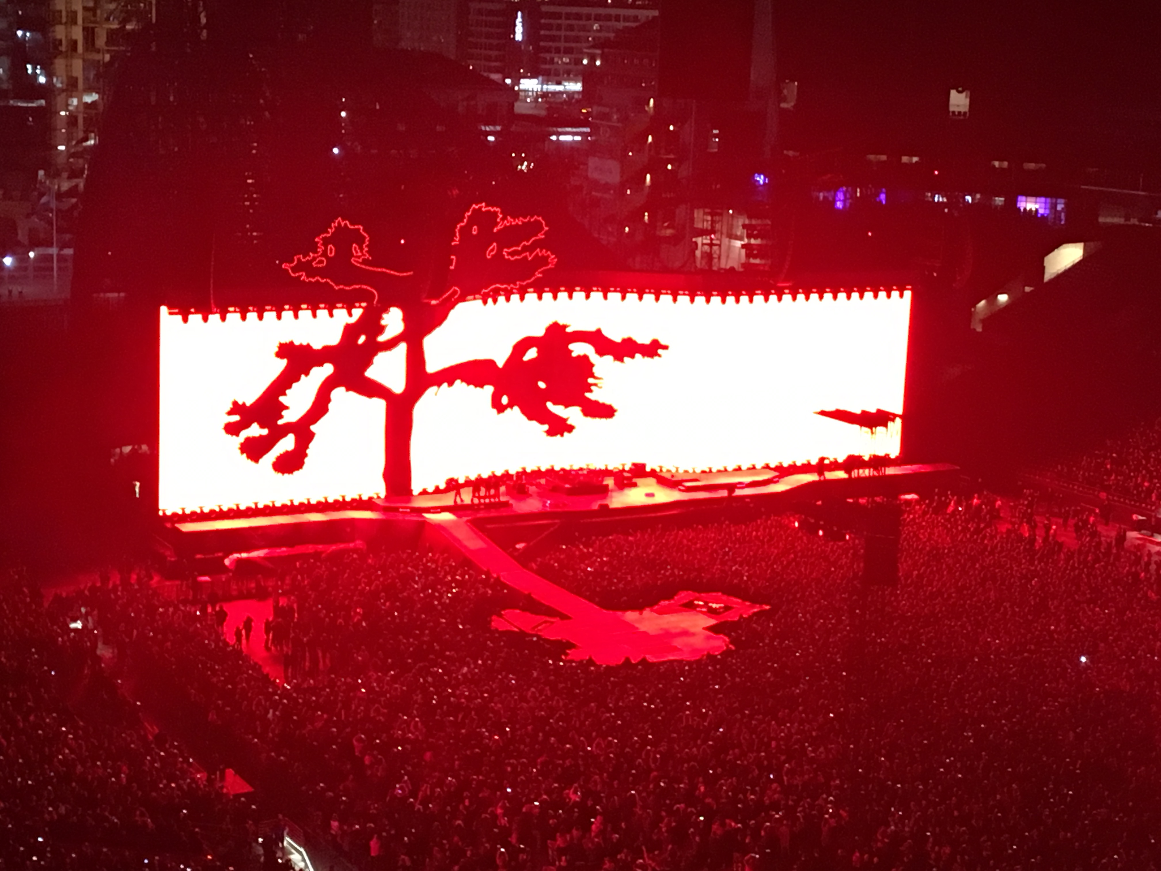 Joshua Tree Tour2017 copy.jpg