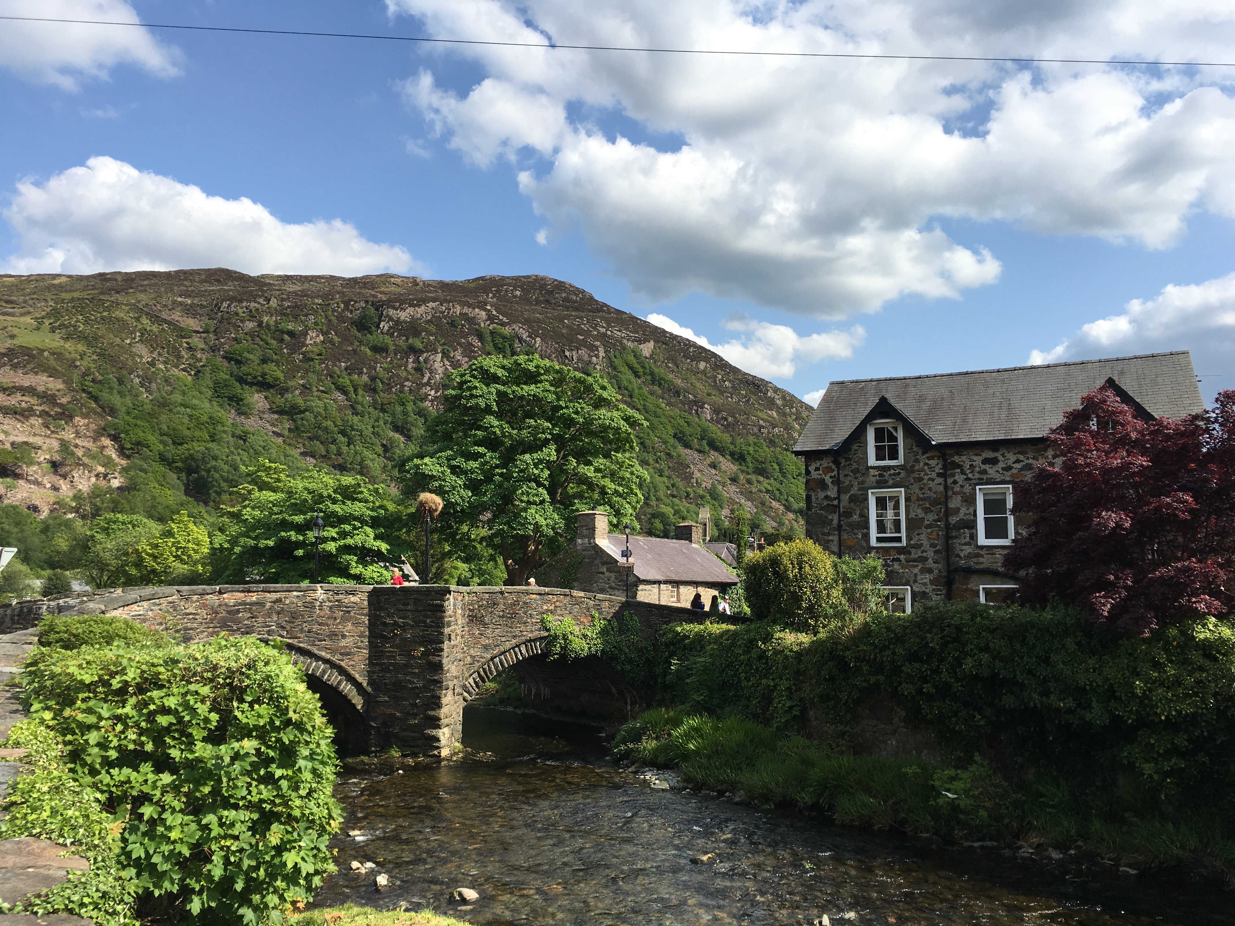 Bedgellert 4 copy.jpg