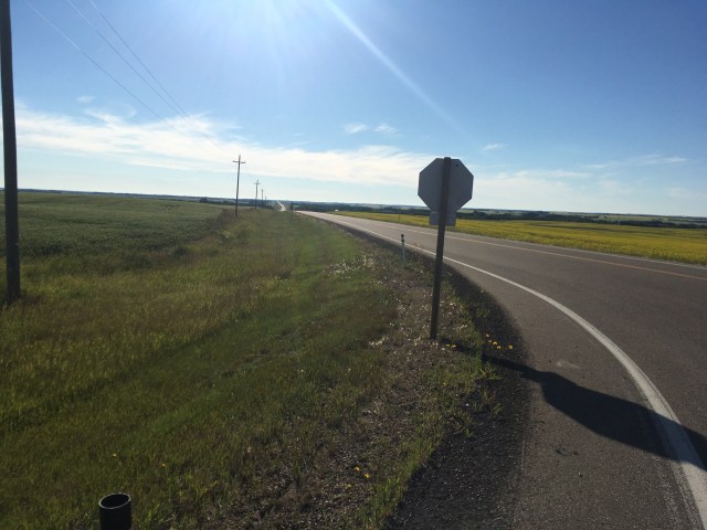 Morning run copy.jpg