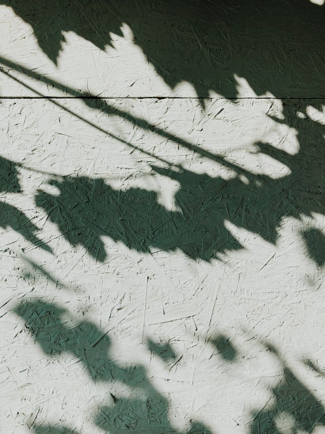 shadow-surface-texture-1451498.jpg