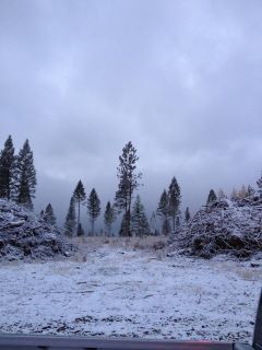 Alberta Winter Scene
