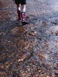 walk through the stream